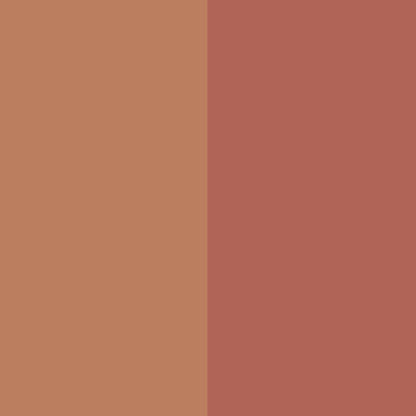 Universal Duo Shaping Face Palette - Collezione Autunno / Inverno 2020 346 Terracotta / Rosa Antico