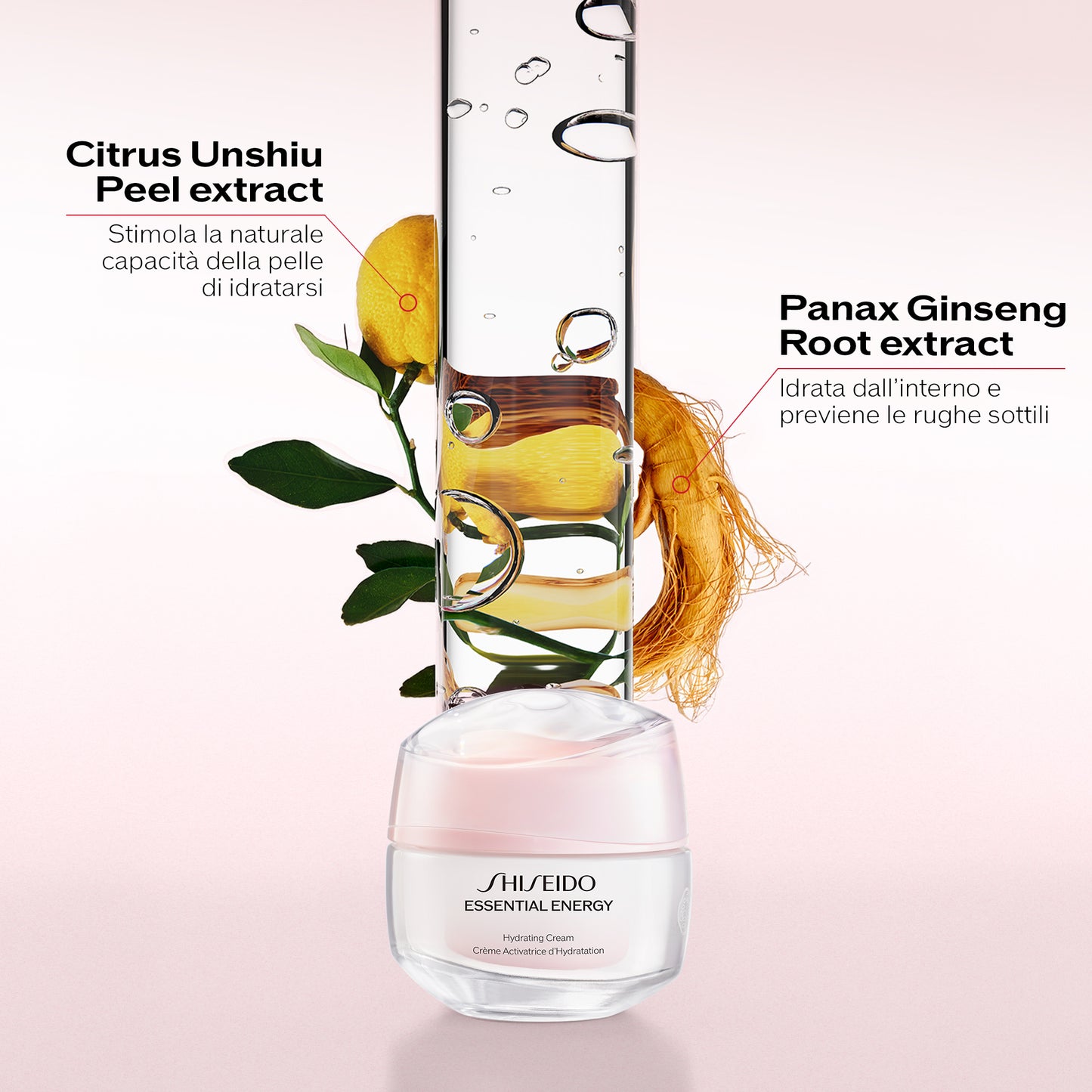 Essential Energy Hydrating Cream Refill 50 ML