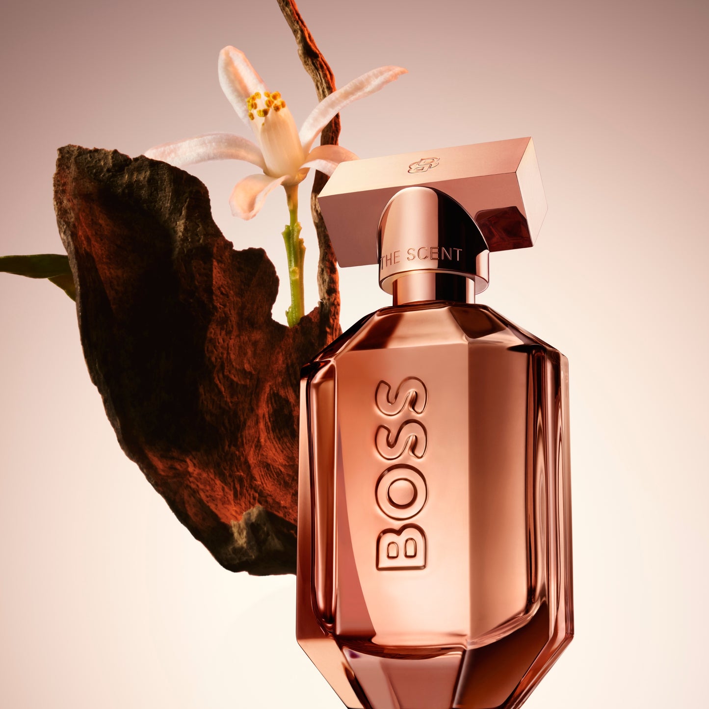 Boss The Scent for Her Parfum New