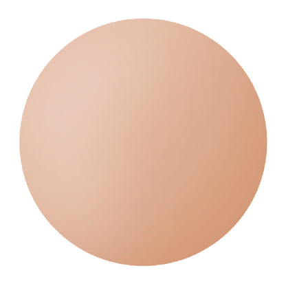 Sheer and Perfect Compact Refill Spf 15