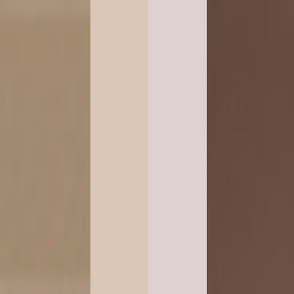 Eyebrow Professional Kit