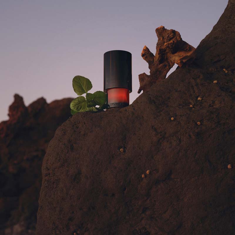 Trussardi Primo Eau de Parfum