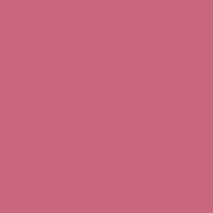 Teint Idole Ultra Wear Stick - Blush