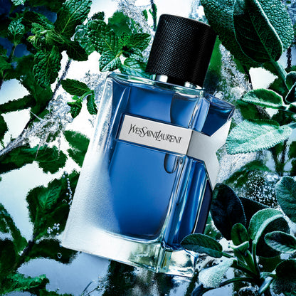 Y Men Iced Cologne Eau de Toilette Intense