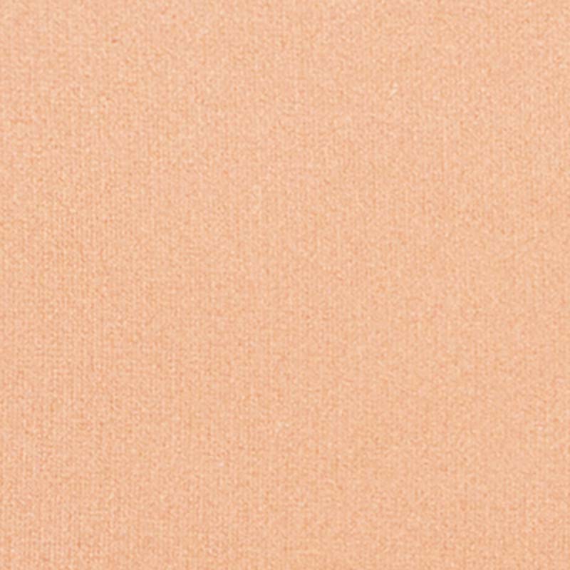 Silk feel Wet & dry Powder Foundation - Fondotinta Compatto in Polvere