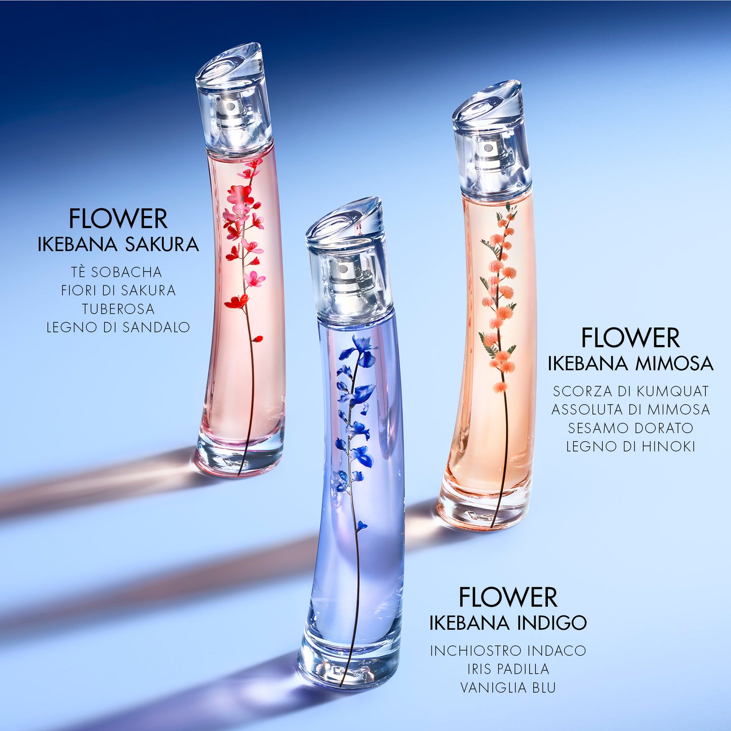 Flower by kenzo Ikebana Indigo