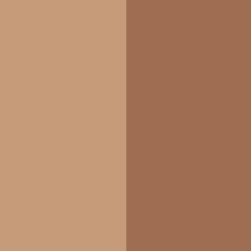 Bronzing Duo SPF 15