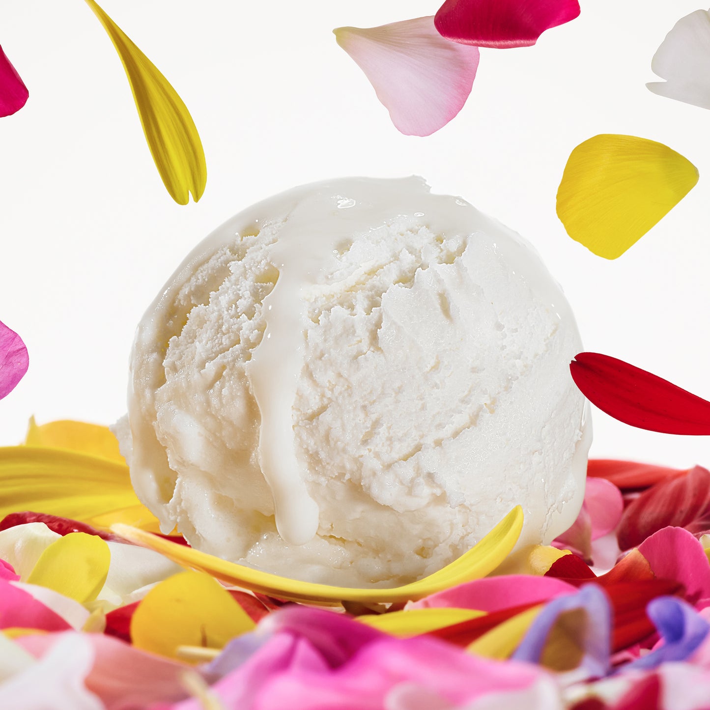 Dolce Magnolia