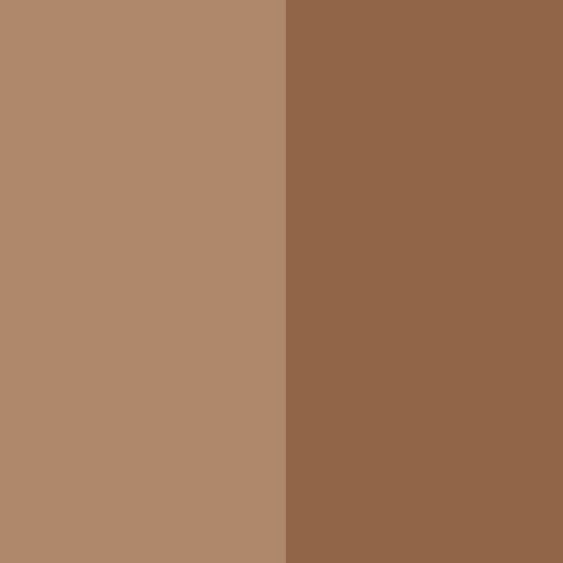 Bronzing Duo SPF 15