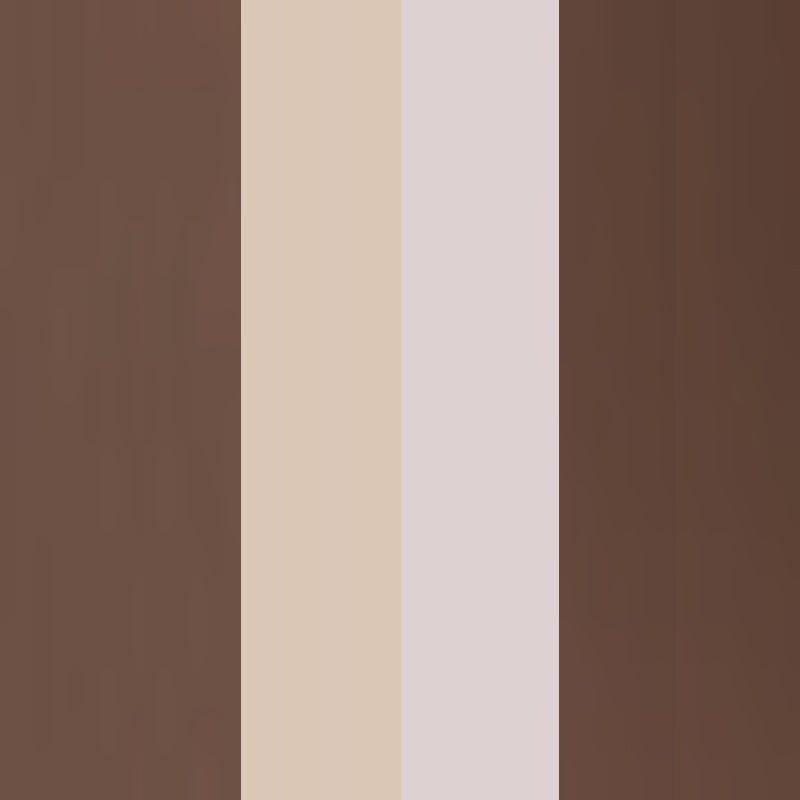 Eyebrow Professional Kit