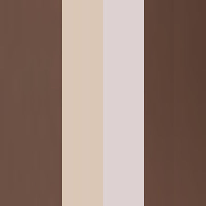 Eyebrow Professional Kit