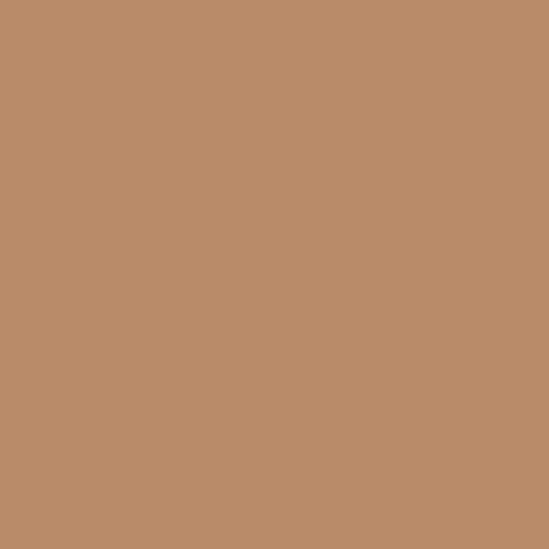 Compact Cream Concelear