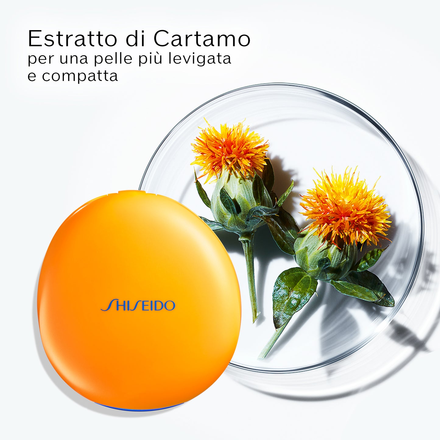 Tanning Compact Foundation SPF 10